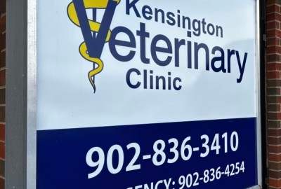 Kensington Veterinary Clinic Ltd