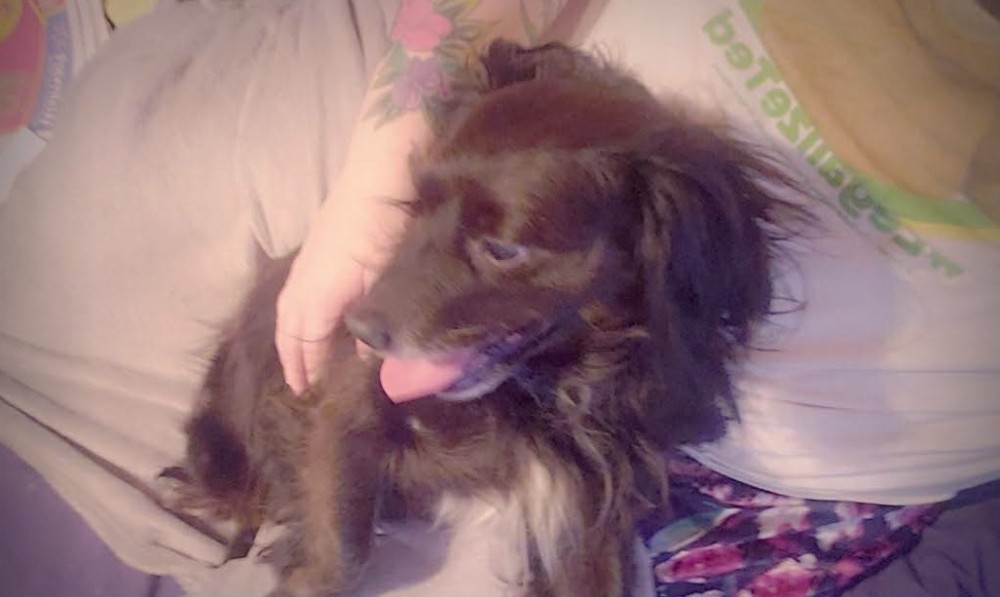 Koda