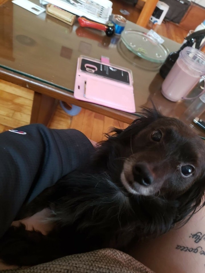 Koda