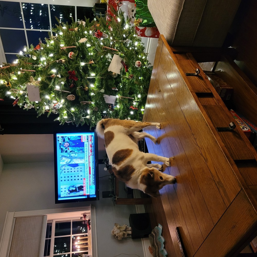 Buster