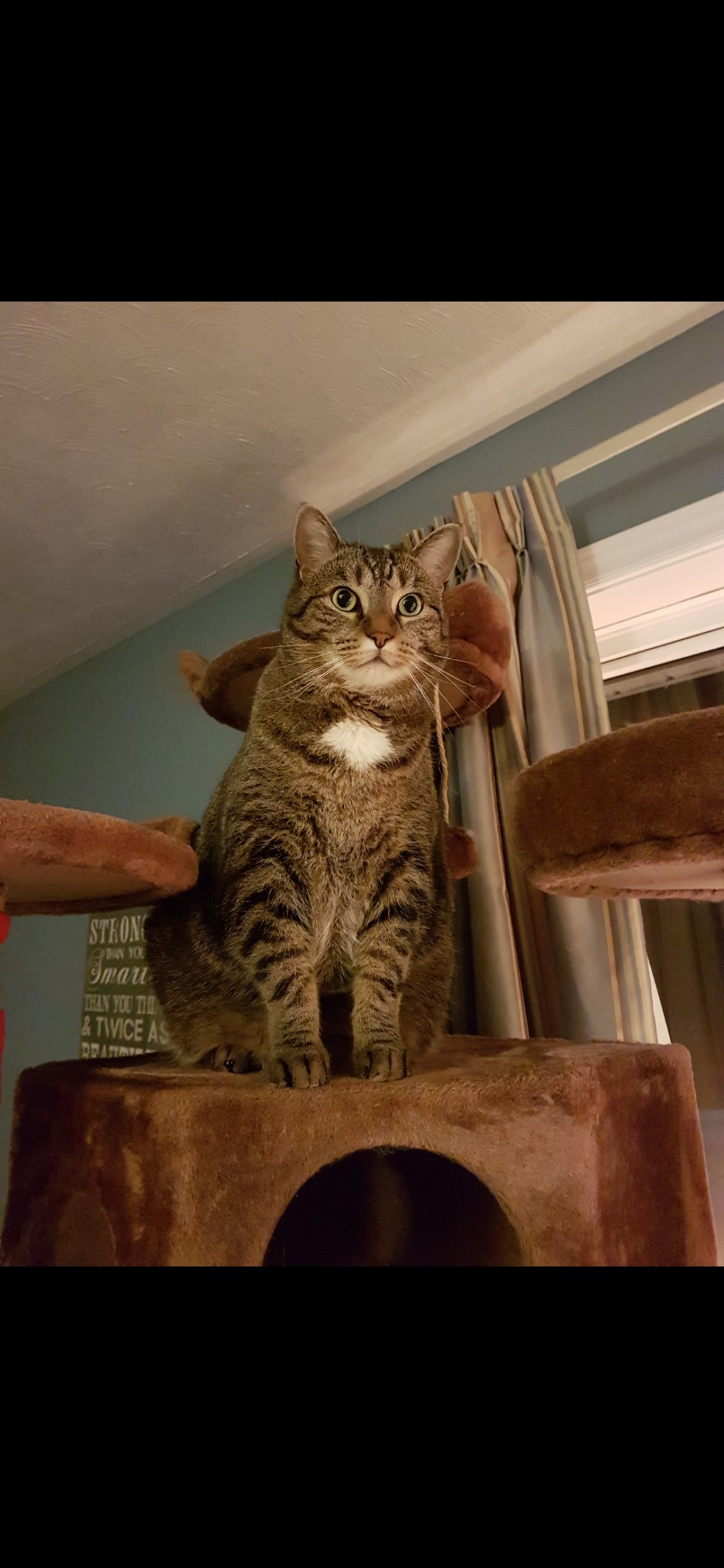 AJ
