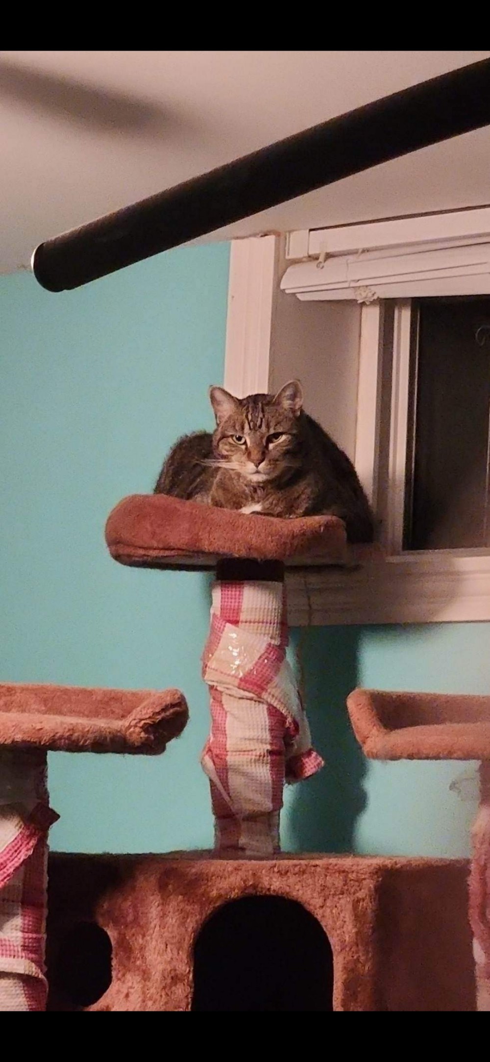 AJ