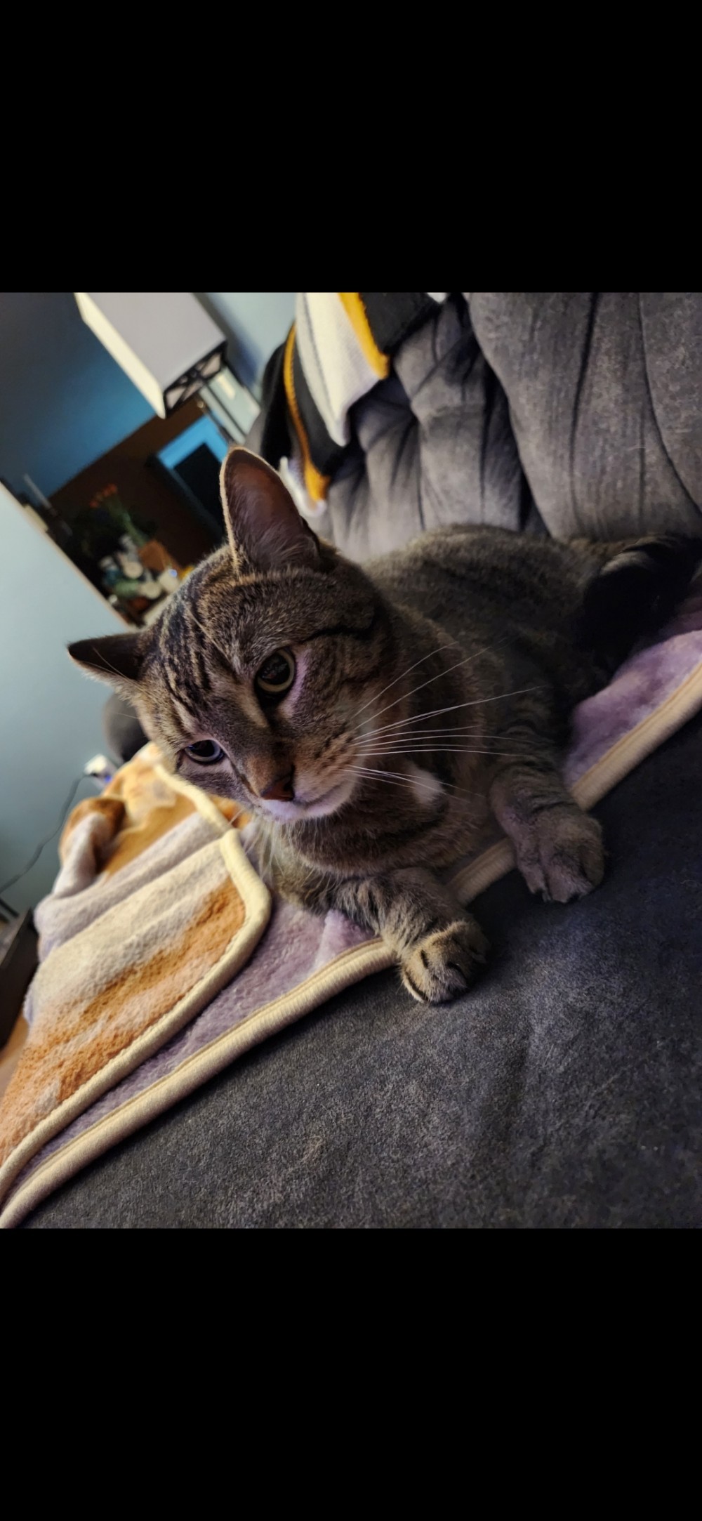 AJ