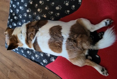 Buster