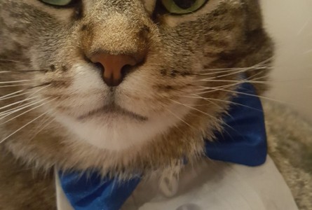 AJ